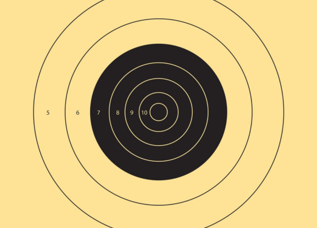 BIRCHWOOD CASEY: Dirty Bird 12 Inch 25 Yard Pistol Reactive Target - 12 Targets