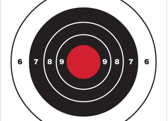 BIRCHWOOD CASEY: Eze-Scorer 8 Inch Bull's-Eye Target, 26 Targets